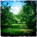 ForestSchoolUK (@forestschoolsuk) Twitter profile photo