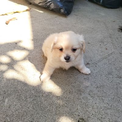 jose96297464's profile picture. 