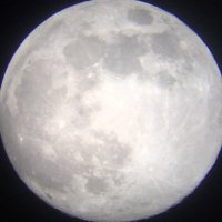 景鵬 (@ns_takasu3_2020) 's Twitter Profile