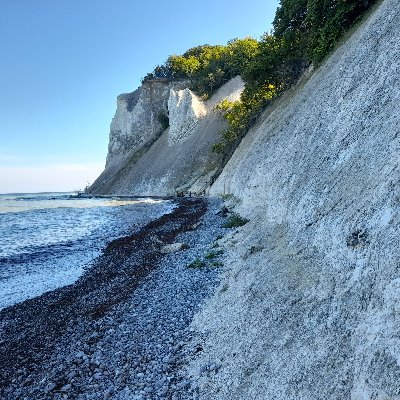 MPhil student @EarthSciCam studying mosasaurs with @fieldpalaeo. Palaeo curator for GeoCenter Møns Klint (Denmark). Earth Sci BSc '23 @UCL. 🇩🇰🇷🇴🇬🇧🇫🇷