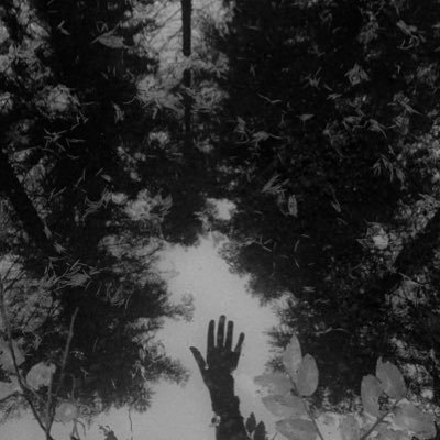 akrebez's profile picture. Śmieszy mnie nieśmieszność większości sytuacji.