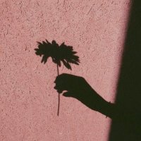 r1.14r (@14r_s1) 's Twitter Profile