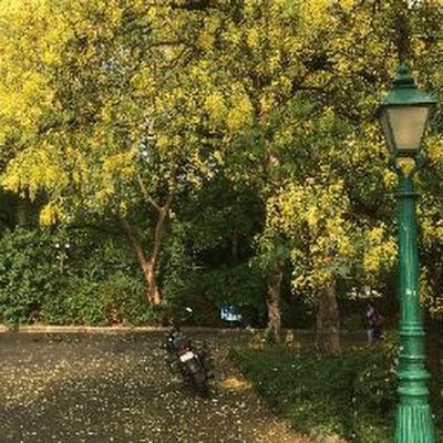 AvarnaO's profile picture. https://t.co/2AdqKueKlb | MA @soas | History of Corruption, Asia, Memories 

Worked with  @TUBerlin @NLUDofficial @CSHDelhi