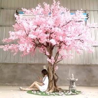 Stephen Kim (@th_ae_hachiroku) Twitter profile photo