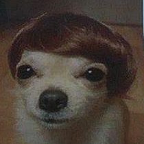 TejasNareddy's profile picture. Certified Chomu