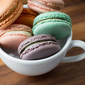 MacaronTea's profile picture. Fandom life, BJD, kdrama/cdrama. Casual gamer, RPG / otome. BL / danmei reader. Hakuoki forever. Reptile & isopod keeper. 🔞