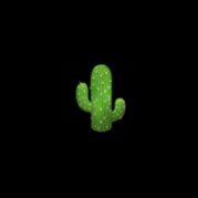 TexasTechCactus Profile Picture