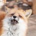 Wjwjiw (@wjwjiw1) Twitter profile photo Wjwjiw (@wjwjiw1) Twitter profile photo