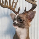 sydney sharp - @sydtaysharp - Twitter