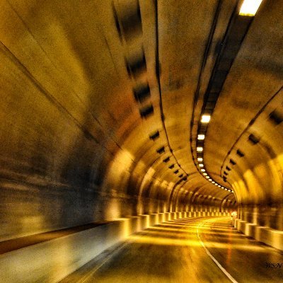 rolltriberoll's profile picture. #VFL #GBO