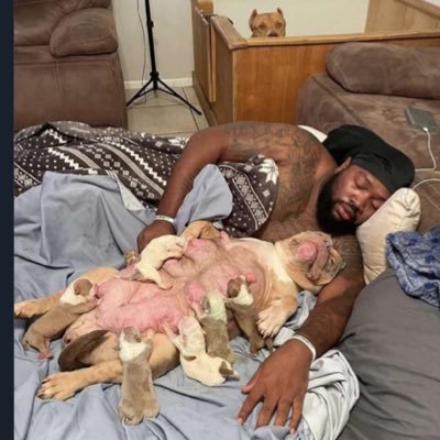 IAMBULLYKENNEL's profile picture. 🏆Home of ABKC’s GRCH PG-13 🏆 🐾WE Breed, WE Train, & WE Show Est. 2007