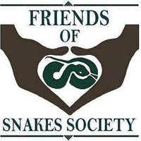 Friends of Snakes(@FriendsofSnakes) 's Twitter Profile Photo