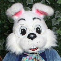 JDK (@jdk415514) 's Twitter Profile
