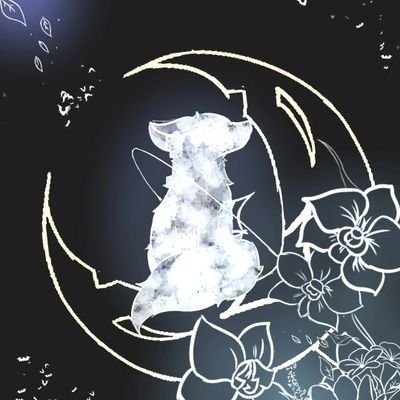 kiwisurferさんのプロフィール画像