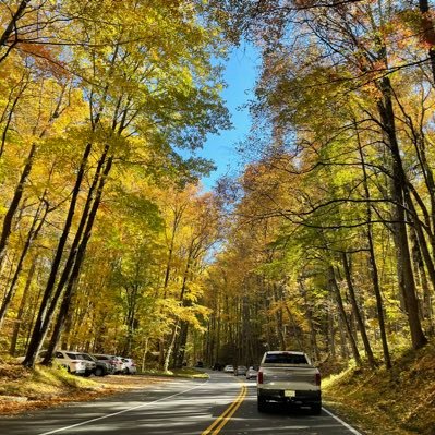 ViVek_Kathari's profile picture. Oracle ERP consultant, Cloud strategy & implementation , Sports lover