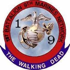 Vietnam '67: ‘A' Co, 1st Bn, 9th Rg (aka “The Walking Dead”), 3rd Mar Div, FMF Pacific - ACHS 1966 #75