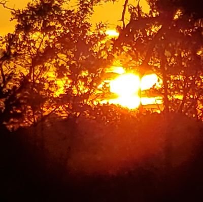 Love God & Country!
and
Life Is Good in Texas!
Wood Stuff, Science, Rockets, ROV's, Permaculture, Trains and other Cool Stuff