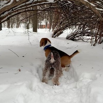 kikinaanna833's profile picture. 