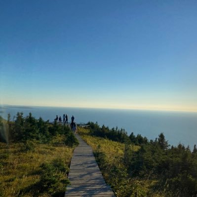 linajam76's profile picture. Full Stack Developer | Building bridges between front-end & back-end | Proficient in PHP, MySQL, JavaScript, Python, React . Machine learning & AI Enthusiast