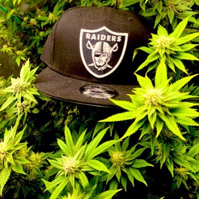 👽Musician🔥MMA Sh!t Talker🌱Cannabis Cultivator🍄From Cali🌴 #SilverAndBlack 🏴‍☠️ #VGK 🎵Do51A Genetics #Raidernation ✌🏽Peace and Blessings🍺 #Raiders💀