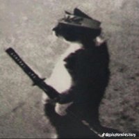 A73fq (@a73fq) 's Twitter Profile Photo A73fq (@a73fq) 's Twitter Profile Photo