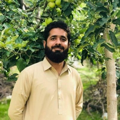 ImranBa81175371's profile picture. 