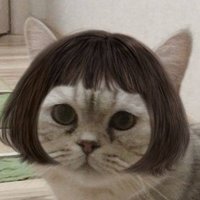 bonifaciiiiiii (@d06789432d) 's Twitter Profile