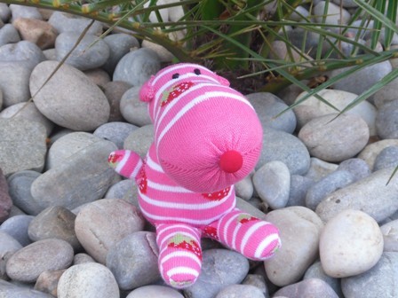 SockBuddiz's profile picture. These beautiful individual characters are made from socks which gives them all their bright, cute personalities, no two Sock Buddiz are the same.