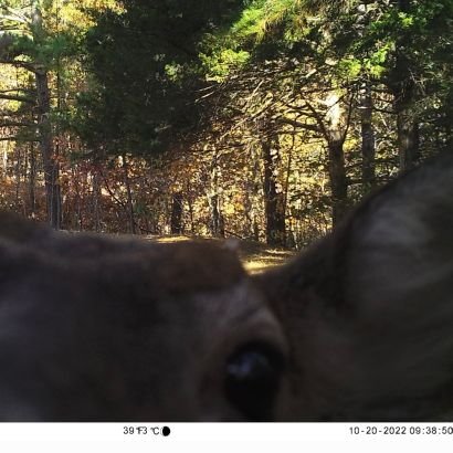 bpmarkus32's profile picture. 