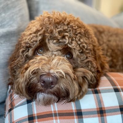 gordon_leahy's profile picture. #StandWithTexas