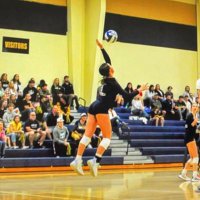 lilly purcell (@lillypurcell_) 's Twitter Profile