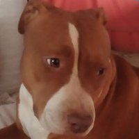 Tomas Gonzales/❤️19 enero 1971 (@tomasgo18538583) 's Twitter Profile