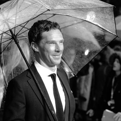 she/her I like following all those Benedict Cumberbatch accounts