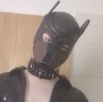 📍 🇩🇪
🚹 Owner WANTED
🎂 Puppy B-Day: 06.08.22
🐕 Puppy
🐾 cz. Wolfshound
🏳️‍🌈 #gay #ownerwanted #socialpup #uniform #sub #dom #gemanpuppy
👥 Single
