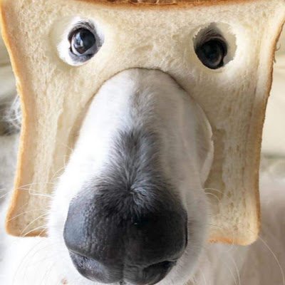 AmericOutdoors's profile picture. AmericanOutdoorsCo is the place to find your made in the USA yard and street signs, as well as primitives, antiques, American Flags and more.