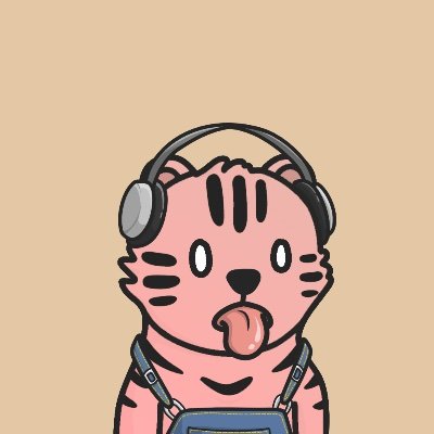 ceedboy_'s profile picture. Crypto & journalism.