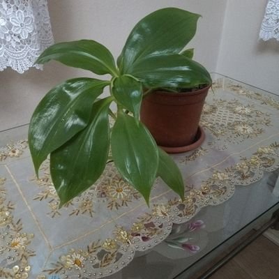 franci44849902's profile picture. eglenceli