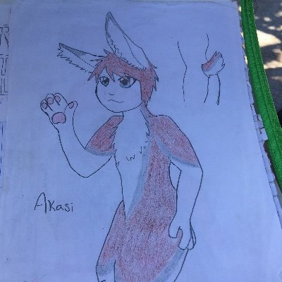 Akasi_rabbit Profile Picture