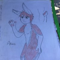 Akasi_the_rabbit(@Akasi_rabbit) 's Twitter Profile Photo