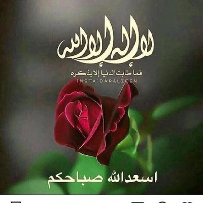 احب المجامله ولا اذمها كما يفعل الآخرون