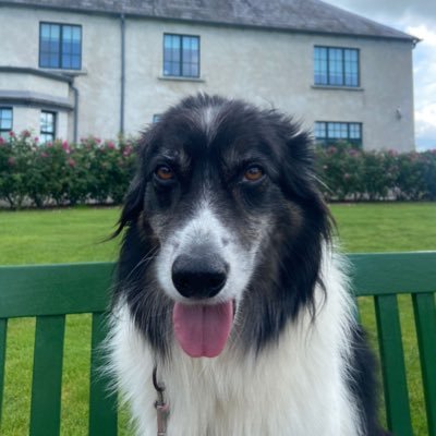 endsmurphy's profile picture. 