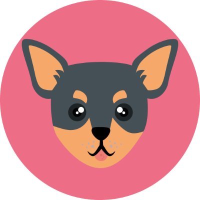 dili_sz's profile picture. A vida é uma sopa e eu tô de garfo.