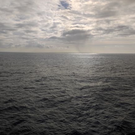 fernand85910300's profile picture. 