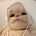 nikola (@wherearecarrots) Twitter profile photo