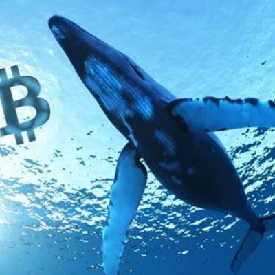 Whalesofcryptoo's profile picture. Real time crypto trader. Mostly on
Binance, Bitmex,Bybit Spot trading,Futures trading follow us on https://t.co/ScoPXZpRxZ telegram chat group https://t.co/eLO0zRqCER