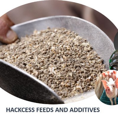 We are a consortium of two Startups, a university research group and a spin-off company constantly innovating affordable and high quality feed.