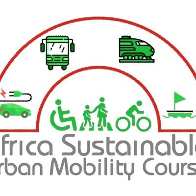 Developing the capability of stakeholders towards urban mobility reform in Africa