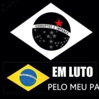 Eu não votei em ladrão (@decepcionado21) 's Twitter Profile