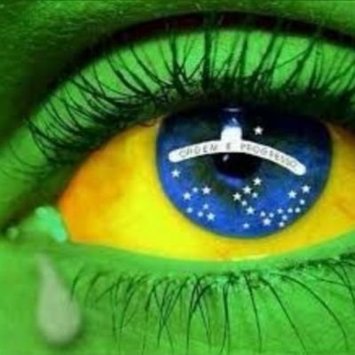 Brasil Acima de Tudo!🇧🇷