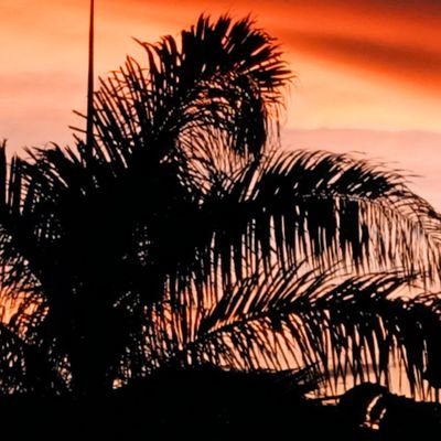 Seriver1234's profile picture. 